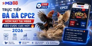 Trực tiếp đá gà CPC2 hôm nay tại mb88 - Kèo cược cực hot 2026